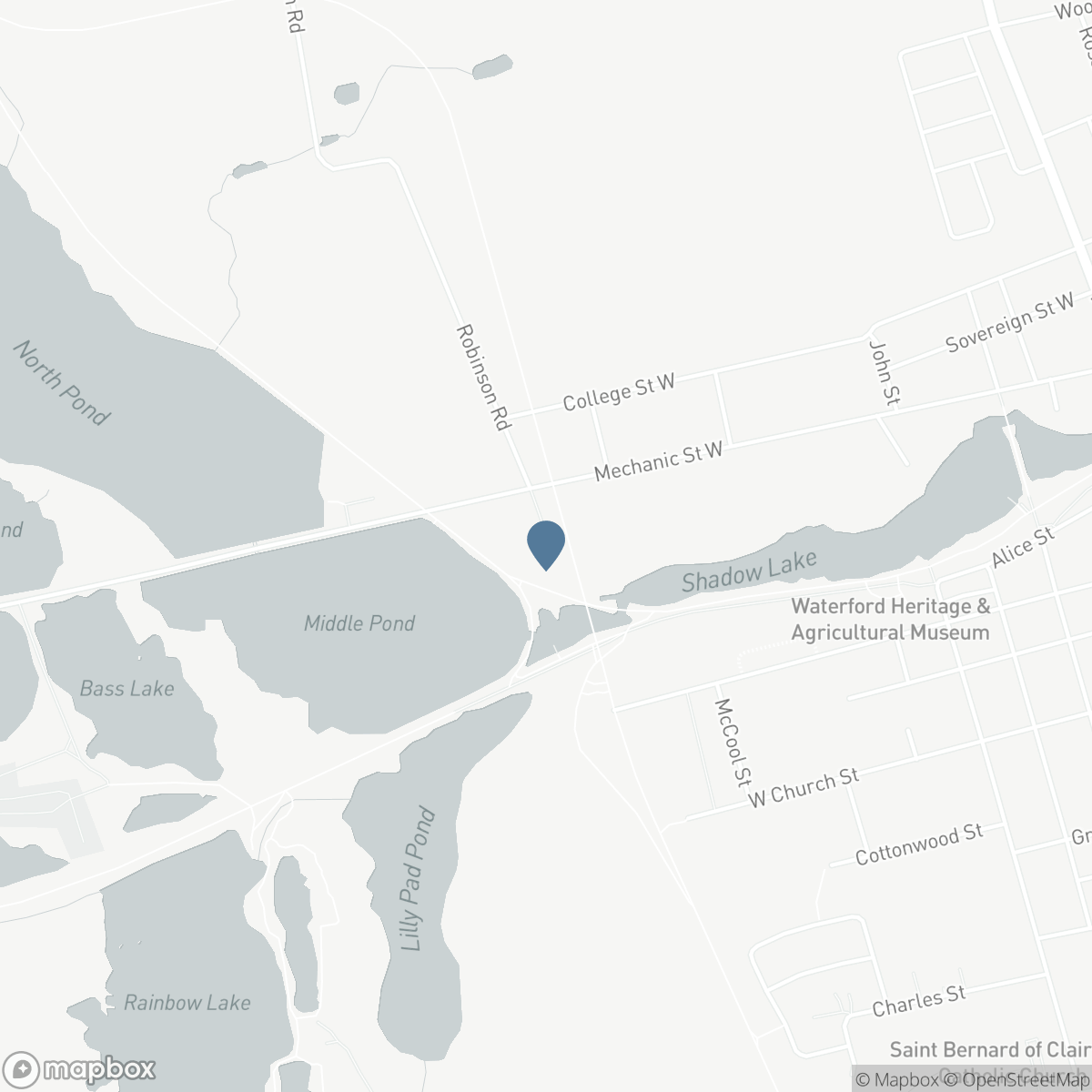 354 MECHANIC Street, Waterford, Ontario N0E 1Y0